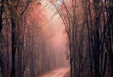 开云：德转：霍深坪从广州队加盟浙江队的转会费约为240万人民币.