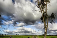 胆子大 穆帅一口气拿下海港3大功勋王牌 本土第一铁卫沦为多余人.