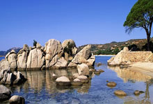 开云：这边线球战术神了！乌赞发球后接球上篮绝杀 休斯敦大学进精英8强.